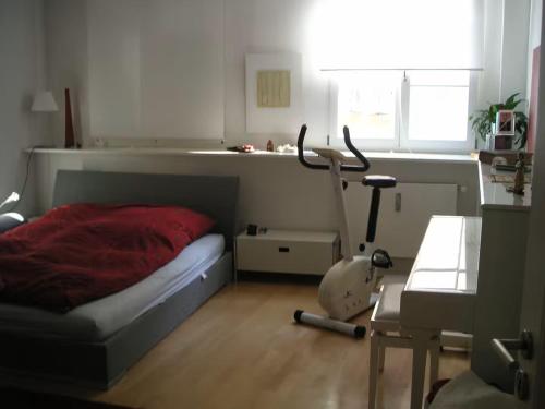 a bedroom with a bed with a red blanket and a desk at Zum oberen Schulhof in Konstanz