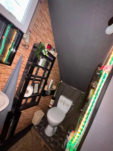 a bathroom with a white toilet and a sink at Jacuzzi Clim table de massage jardin et barbecue au cœur de Perpignan in Perpignan