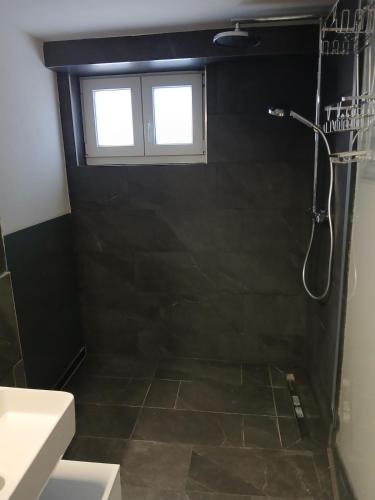 a bathroom with a shower and a sink at FeWo Eriswil by R&B in Eriswil
