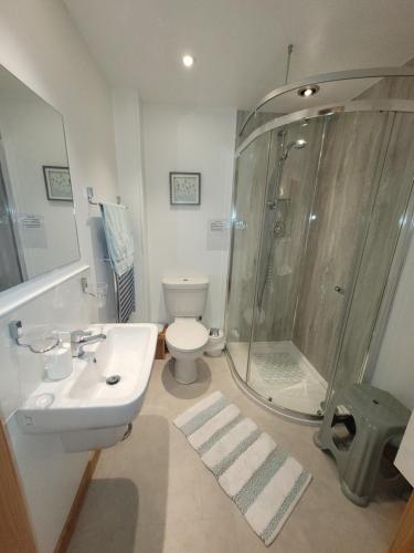 ein Badezimmer mit Dusche, Waschbecken und Toilette in der Unterkunft Orkneyinga in Kirkwall