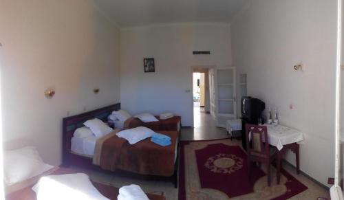 a bedroom with a bed and a desk and a television at Hotel Les Amandiers in Tafraoute