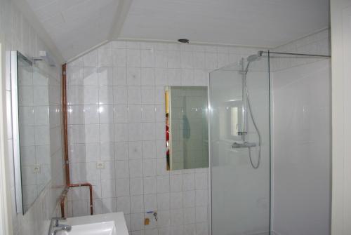 Bilik mandi di Gîte Horlitin