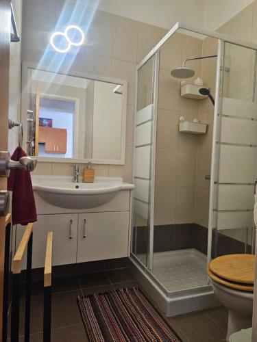 a bathroom with a shower and a sink and a toilet at Quiet 61 Perivolia in Meneou