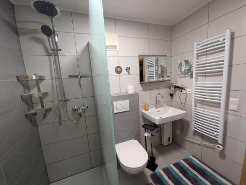a bathroom with a toilet and a sink at Ferienwohnung Tanja in Winterberg