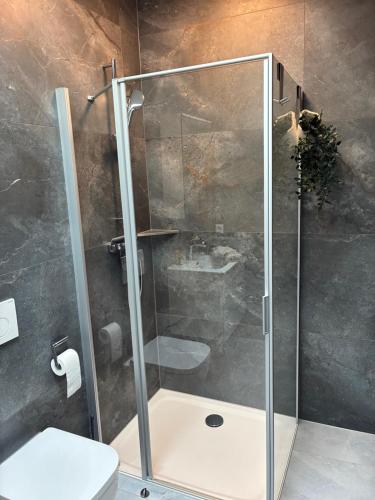 a bathroom with a shower with a toilet and a sink at Quartier 8 - Ein-Zimmer-Apartment in Geisenfeld