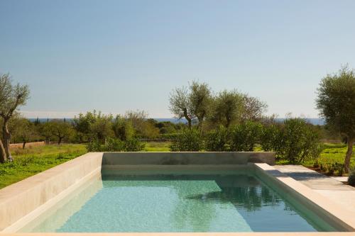 a swimming pool in the middle of a field with trees at Sa Nau Agroturismo - Adults Only over 16 in Portocolom