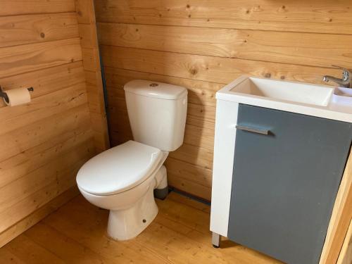 a bathroom with a white toilet and a sink at Au pied du plateau in Campagne-sur-Aude