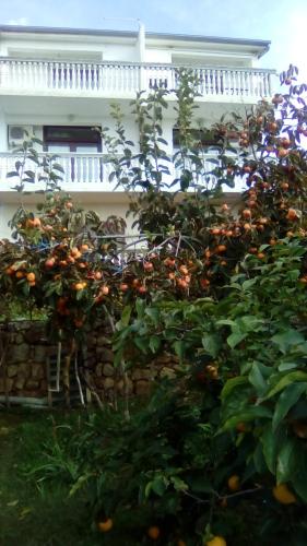 Apartments Marijan – Photos 3