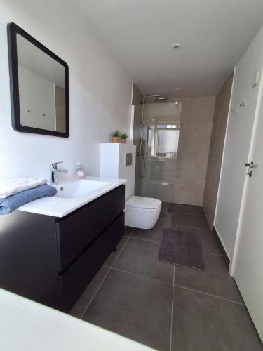 a bathroom with a sink and a toilet and a mirror at Strandens Apartment in Ishøj