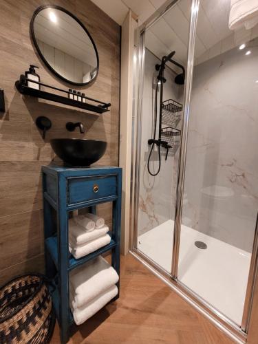 a bathroom with a sink and a shower at B&B 't Maartensdijkse Bos in Maartensdijk