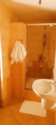 a bathroom with a shower and a toilet and a sink at Dworek Myśliwski in Łaziska