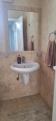 a bathroom with a white sink and a mirror at Vila Marjanovic PN in Paraćin