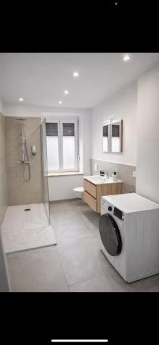 a bathroom with a shower and a washing machine at Joli T2 proche parc expo in Mulhouse