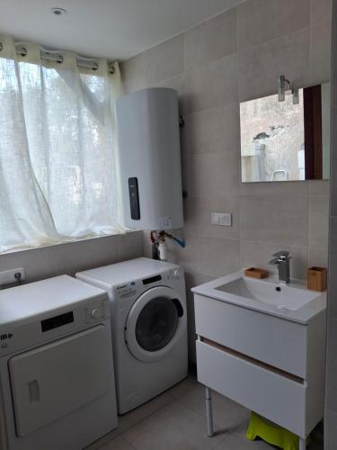 a laundry room with a washing machine and a sink at maison village 3 chambres 30 minutes du zoo de beauval in Saint-Cyran-du-Jambot