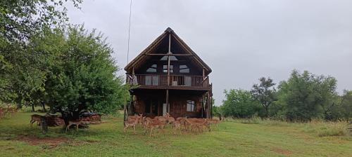 a herd of deer standing in front of a house at Vaalkop Dam Reserve Log Cabin, Self-Catering, Beestekraal in Beestekraal