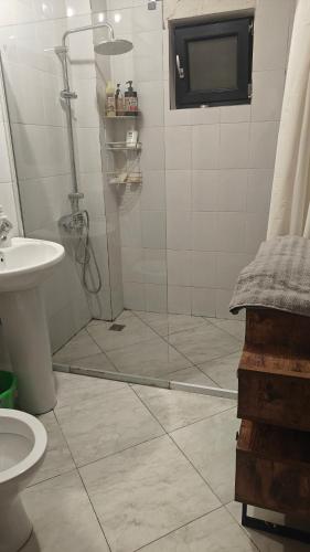a bathroom with a shower and a toilet and a sink at Ultracentral Biblioteca in Caracal