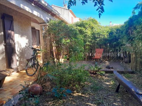 Maison dans jardin arboré