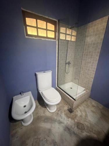 a bathroom with a toilet and a shower and a sink at GinTonic Rancho in San Luis