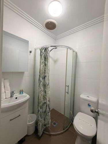 a bathroom with a shower and a toilet and a sink at Pacific Motel Taree in Taree