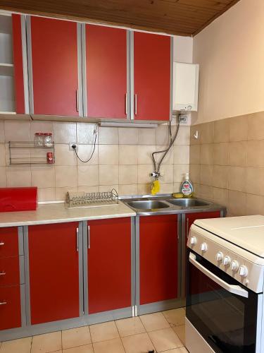Kuchyň nebo kuchyňský kout v ubytování Apartmani VV