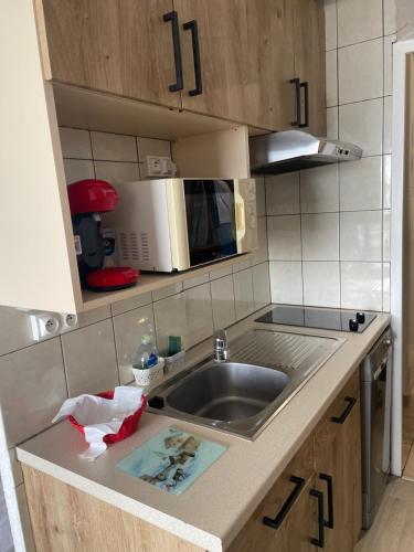 a kitchen with a sink and a microwave at Studio montagne in Villarembert