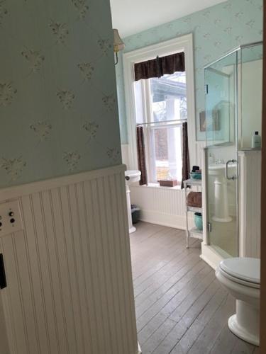 a bathroom with a toilet and a window at Black Sheep Inn in Hammondsport