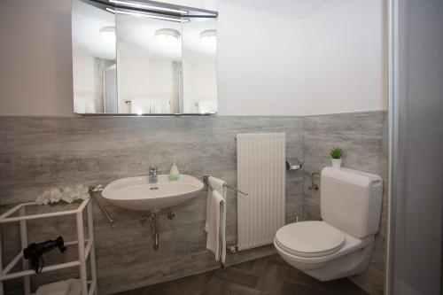a bathroom with a toilet and a sink at Ferienwohnungen Wolf in Holzgau