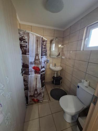 a small bathroom with a toilet and a sink at Сонечко in Velyka Bihanʼ