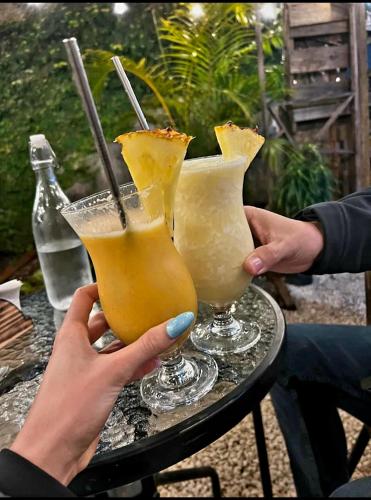 Drinks på Nature house