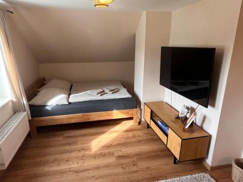 a small bedroom with a bed and a flat screen tv at Caspar-David-Friedrich in Königstein an der Elbe