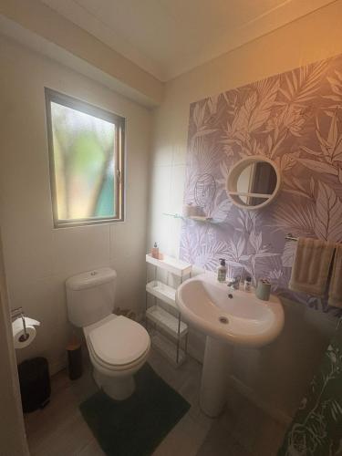 a bathroom with a toilet and a sink at Dragon Fly in Stormsrivier