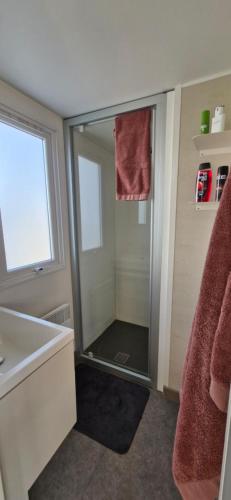 a bathroom with a shower with a glass door at Chalet B1 900m vom Strand in Koudekerke