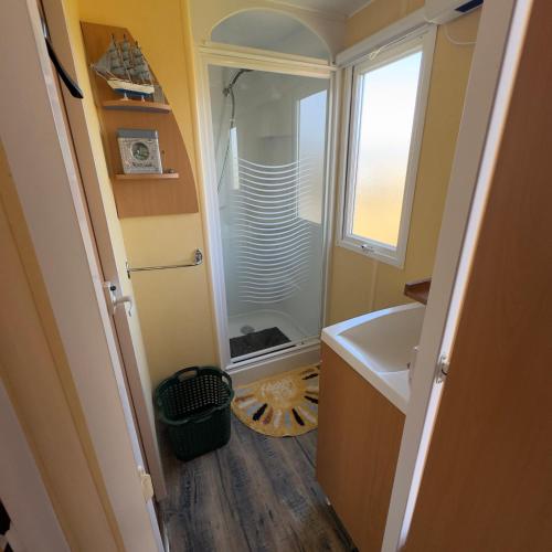 a small bathroom with a shower and a sink at Chez Elvis et Agnès, logement climatisé in Saint-Loup