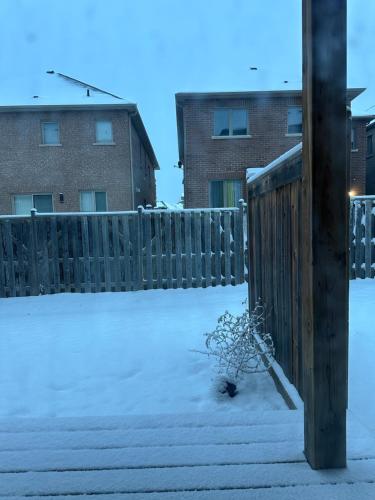 a snow covered yard with a fence and aorah at Comfortable Room with Free Parking in Brampton