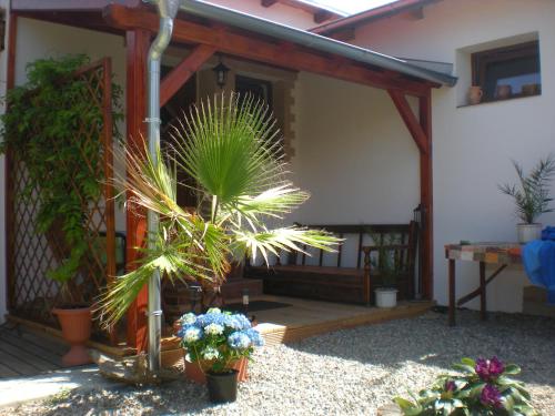a porch of a house with a palm tree and plants at Sophia Cozy Self Catering Apartment in Dolní Břežany