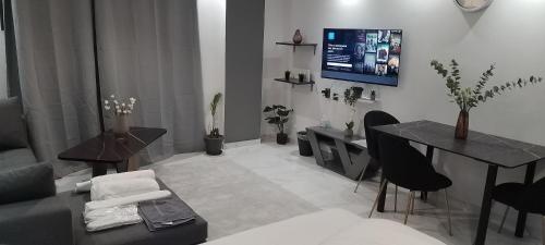 Luxury Semi-Basement Suite Athens