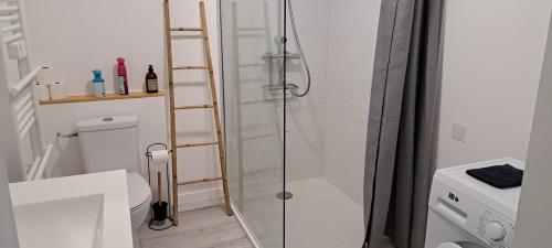 a shower with a wooden ladder in a bathroom at Gîte du Chemin vert in Taugon