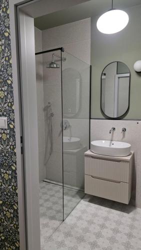 a bathroom with a shower and a sink and a mirror at Dawno Temu - Agroturystyka Premium in Lipowy Most