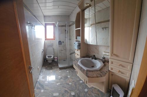 a bathroom with a sink and a shower and a toilet at Appartement July in Innsbruck