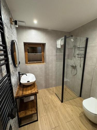 a bathroom with a shower and a sink and a toilet at Sielanka u Stanka in Szaflary