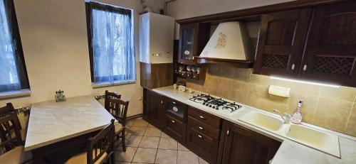 a kitchen with a sink and a stove top oven at Vila Alexandra - Prime accomodation - Pumo Properties in Bucharest