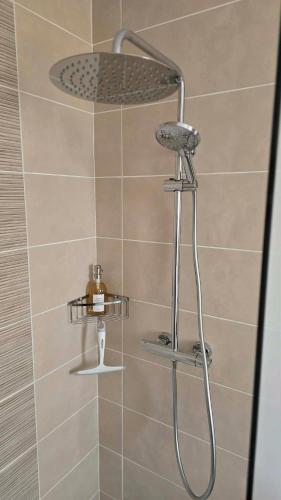 une douche avec pommeau de douche dans une salle de bain dans l'établissement Gite du Puits, à Crézancy