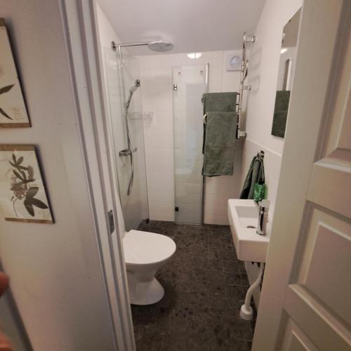 a bathroom with a toilet and a sink and a shower at Cute gardenhouse close to Stockholm City in Solna