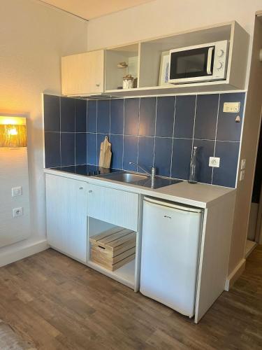 Petit cocon sur Arles في آرل: مطبخ مع حوض وميكروويف