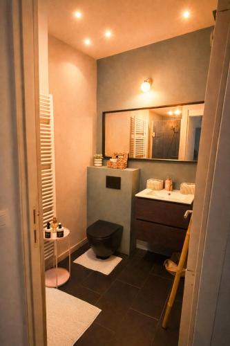 a bathroom with a sink and a toilet and a mirror at Mansion RL with Unique Decoration in Antwerp