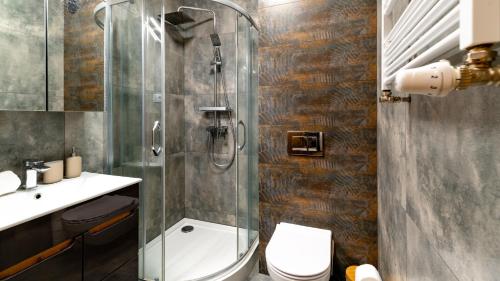 a bathroom with a shower with a toilet and a sink at Apartament Komfort Lux in Karpacz