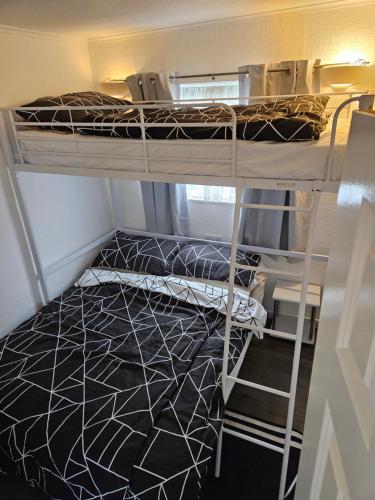 a room with two bunk beds in a room at 116 cherry park in Chapel Saint Leonards