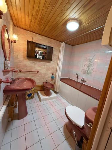 a bathroom with a toilet and a sink at Gite L'EISSAME in Valavoire