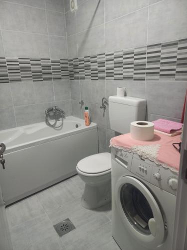 a bathroom with a toilet and a washing machine at Prelep mali stan sa terasom in Petrovaradin
