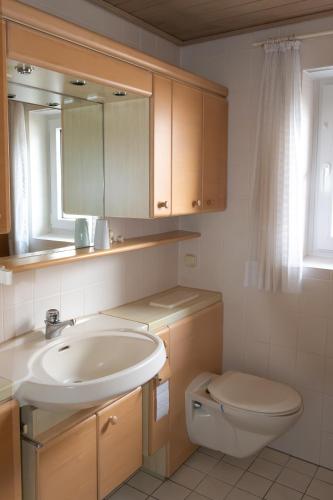 a bathroom with a sink and a toilet and a mirror at Zimmervermietung Peter in Zirndorf